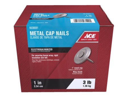 Ace 1 in. Roofing Electro-Galvanized Steel Nail Flat Head 1 lb Online Hot Sale