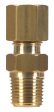 Ace 3 8 in. Compression X 1 2 in. D Male Brass Compression Connector Online