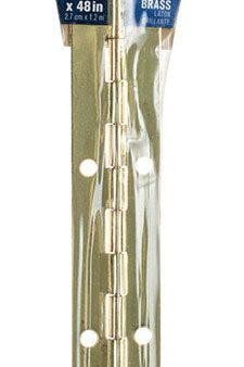 Ace 1-1 16 in. W X 48 in. L Bright Brass Brass Continuous Hinge 1 pk Online Sale