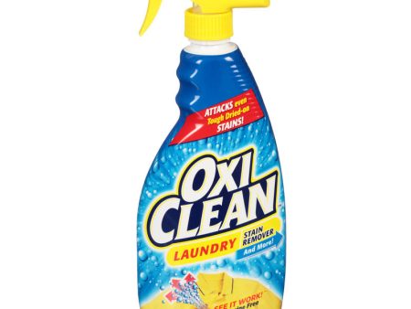 OxiClean Fresh Scent Stain Remover Liquid 21.5 oz Hot on Sale