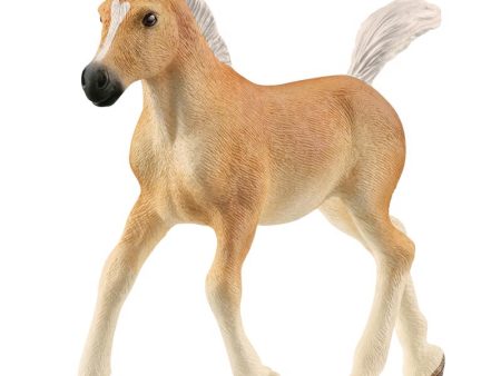 Schleich Haflinger Horse Foal Figurine Snow White 1 pc Discount