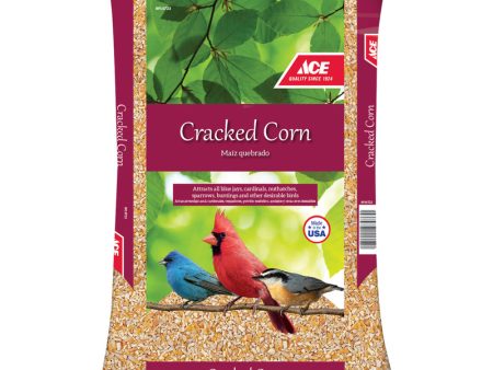 Ace Songbird Corn Cracked Corn 4 lb Fashion