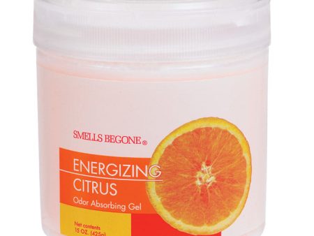 Smells Begone Citrus Scent Odor Absorber 15 oz Gel Discount